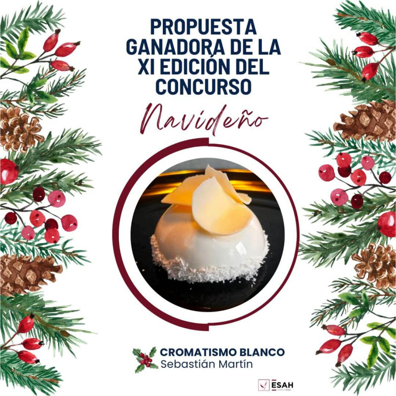 CROMATISMO BLANCO: LA PROPUESTA GANADORA DE LA XI EDICIÓN DEL CONCURSO DE NAVIDAD ESAH