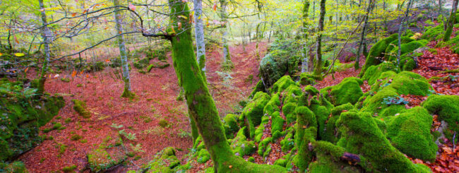 Mejores-lugares-naturales-en-Espana